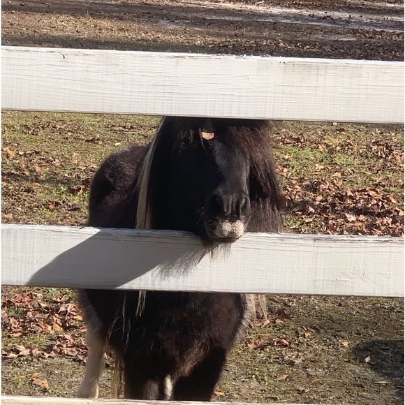 Meet your Posher, Kimberly - Picture 11 of 15